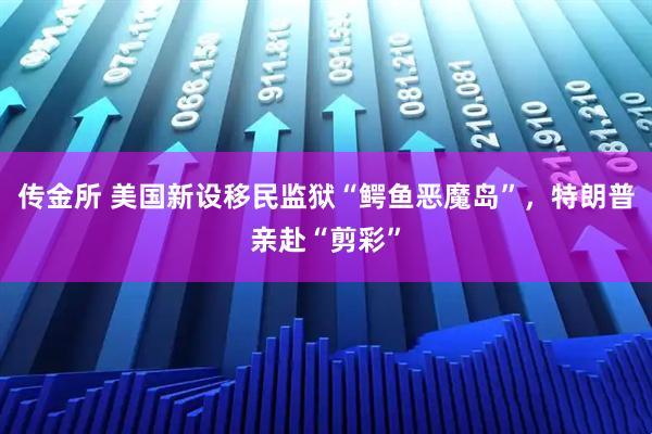 传金所 美国新设移民监狱“鳄鱼恶魔岛”，特朗普亲赴“剪彩”
