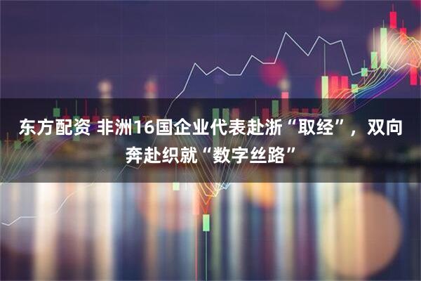 东方配资 非洲16国企业代表赴浙“取经”，双向奔赴织就“数字丝路”